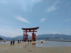 �����_��