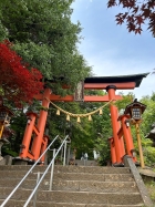 �V�q�x�m��Ԑ_��