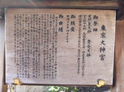 ������_�{