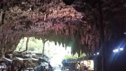 �K���K���[�̒J�i���ꌧ�j