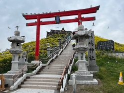 �����_��