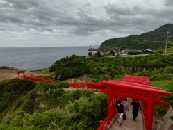 ���T���_��