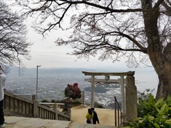 �����_��