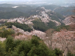 �g��R��{��